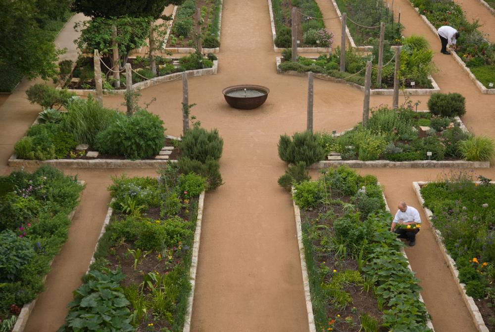 Lake Austin Spa Resort chefs picking herbs and vegetables from the organic gardens on site.