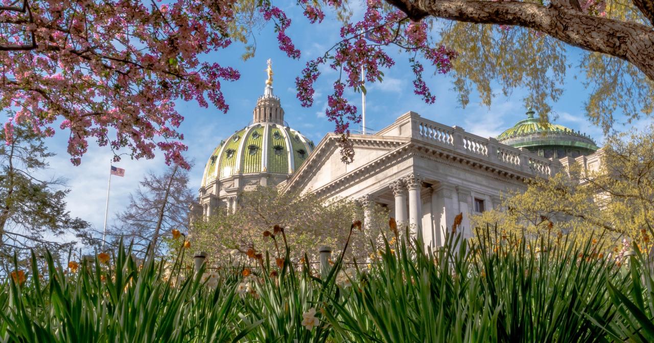 Capitol Spring