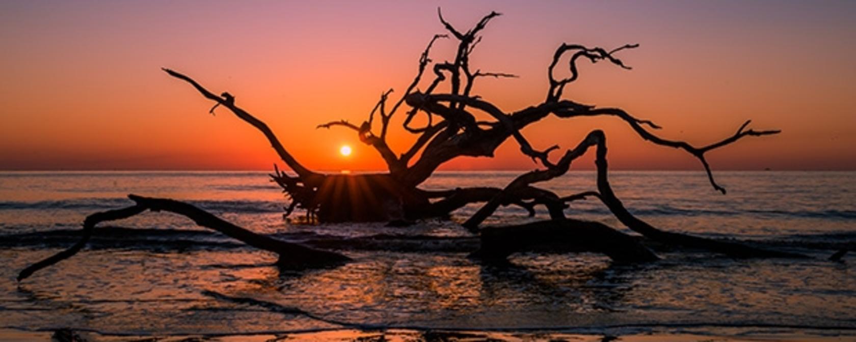 5 Things To Do On Jekyll Island