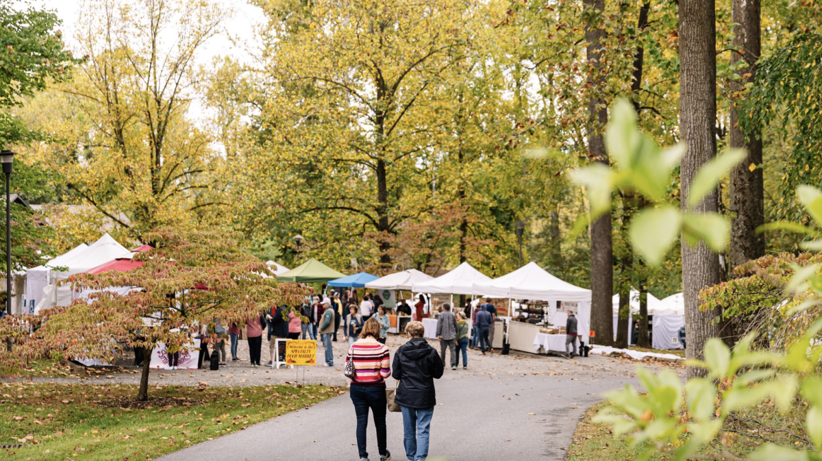 Hagley Craft Fair