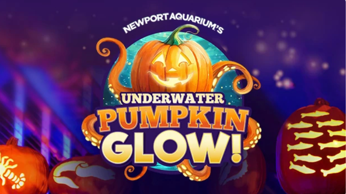 Image is of the poster of the Newport's Aquarium's Underwater Pumpkin Glow with a pumpkin and fish swimming around.
