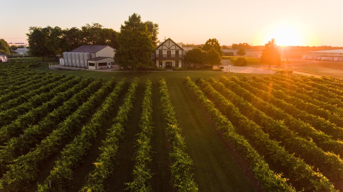 sunrise over Beachaven Vineyards and Winery