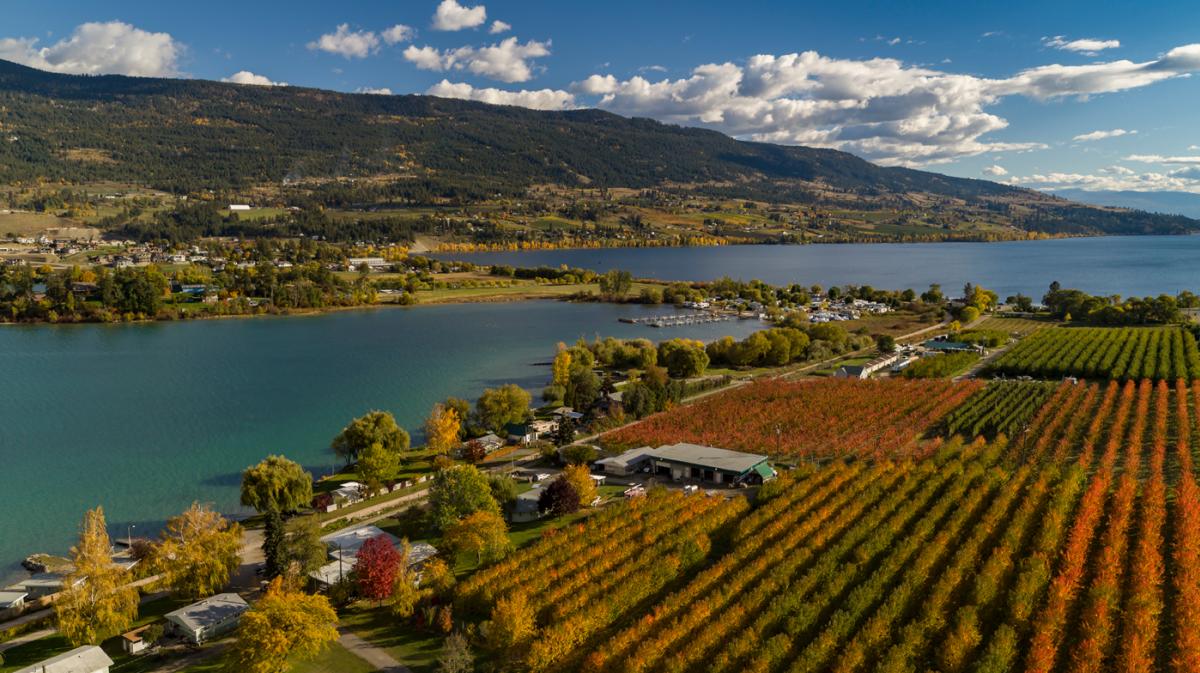 Aerial view of Oyama Lake near Lake Country, BC