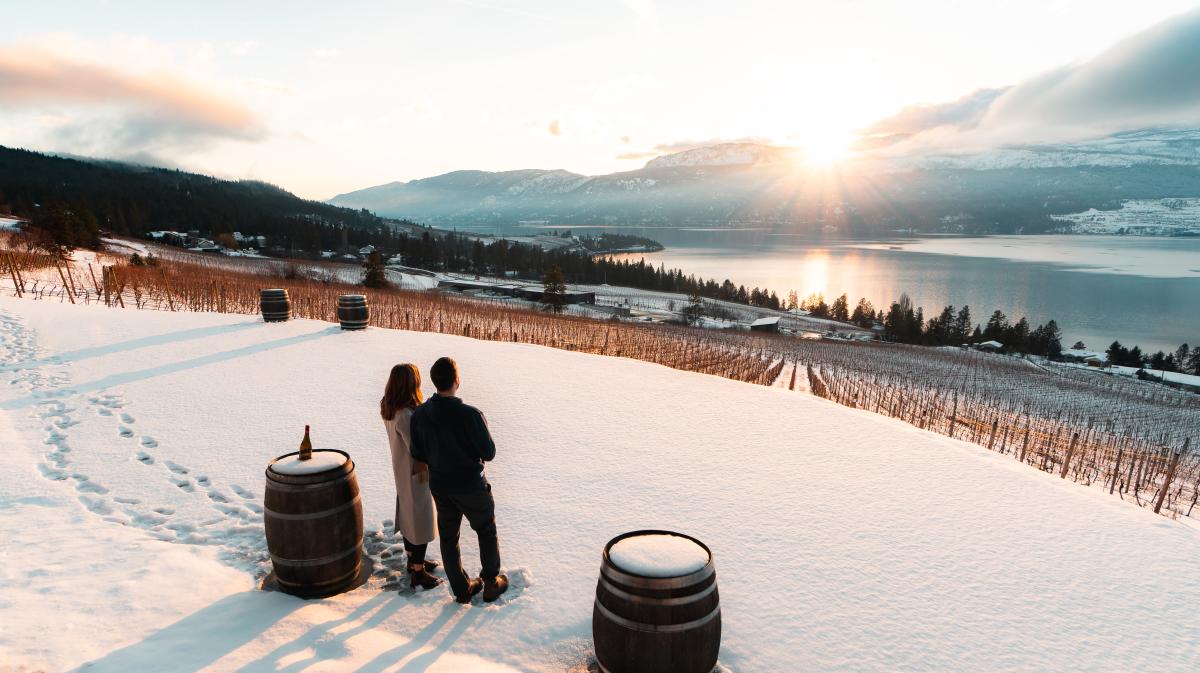 Winter Sunset at 50th Parallel Winery (2)