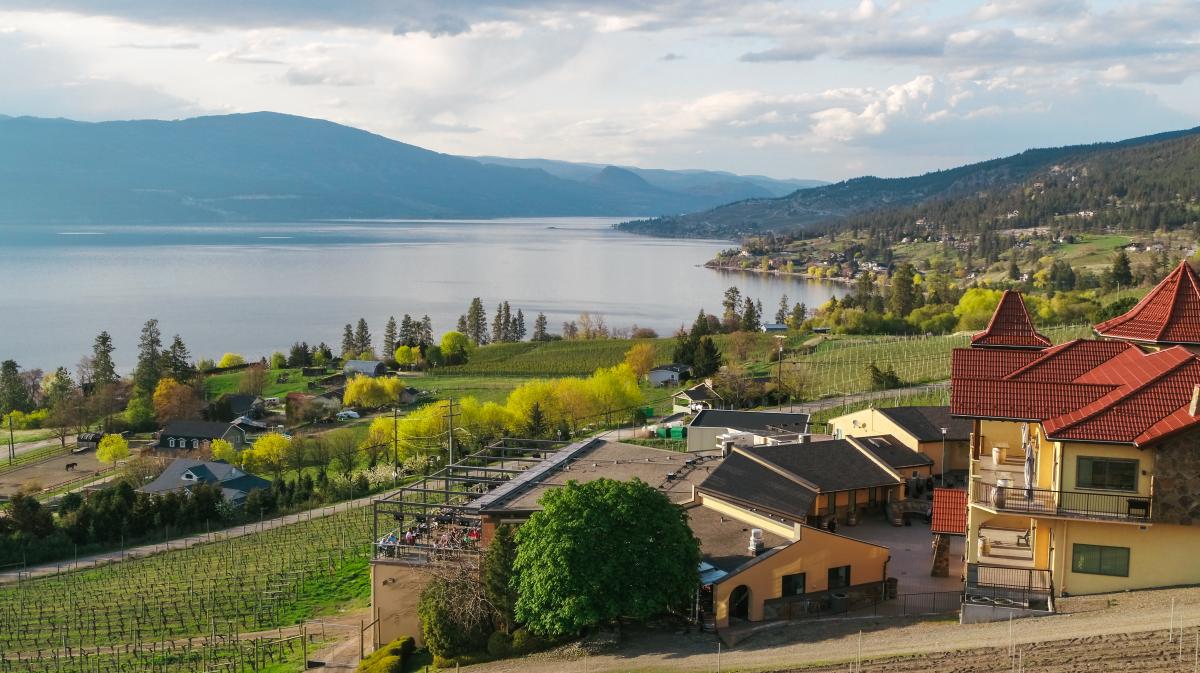 Gray Monk Winery Aerial 4