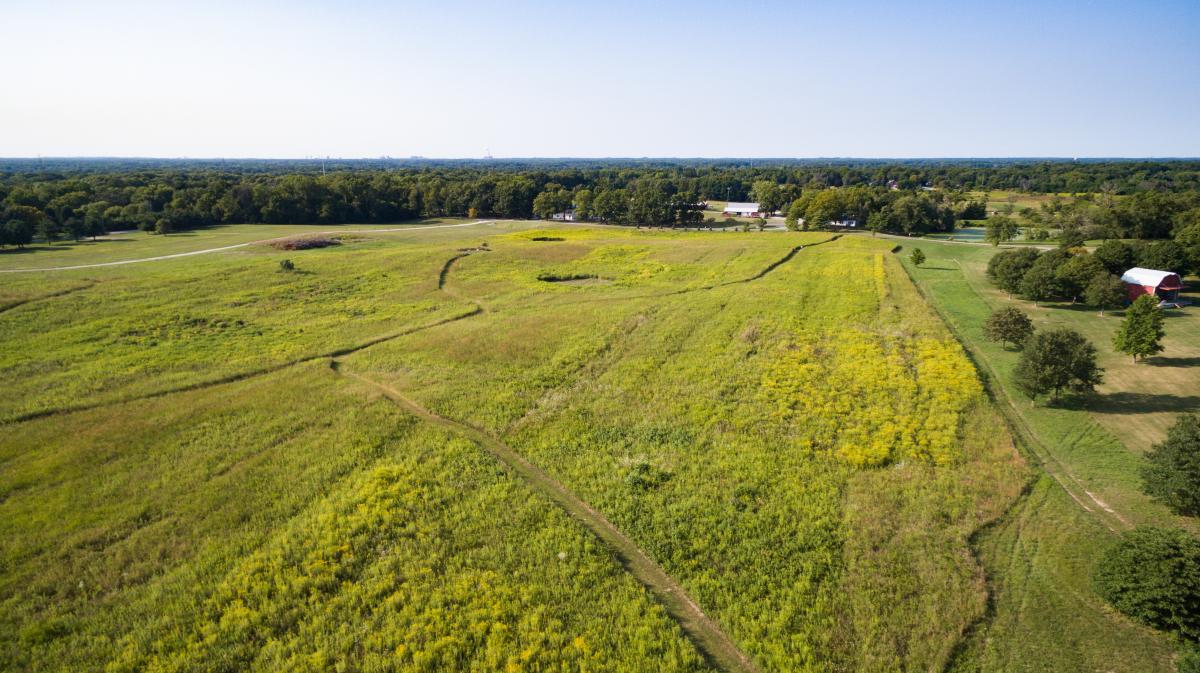 Trails are mowed into a green field. Trees surround the boundaries.