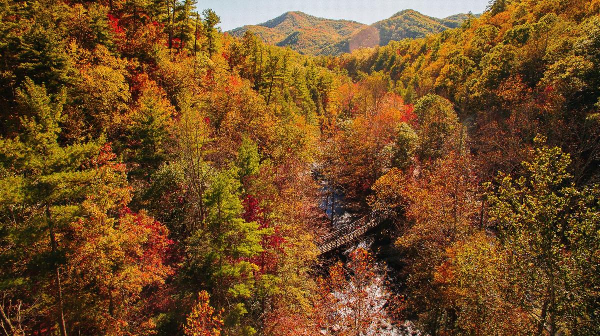 Virginia Creeper Trail in Fall