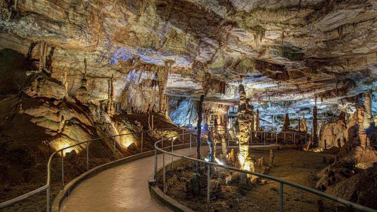 Inside the depths of Cathedral Caverns, lit for all to see.