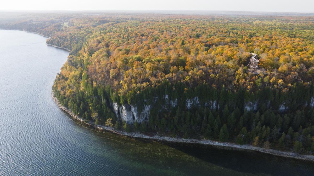 A drone photo of fall trees near the shore in Door County