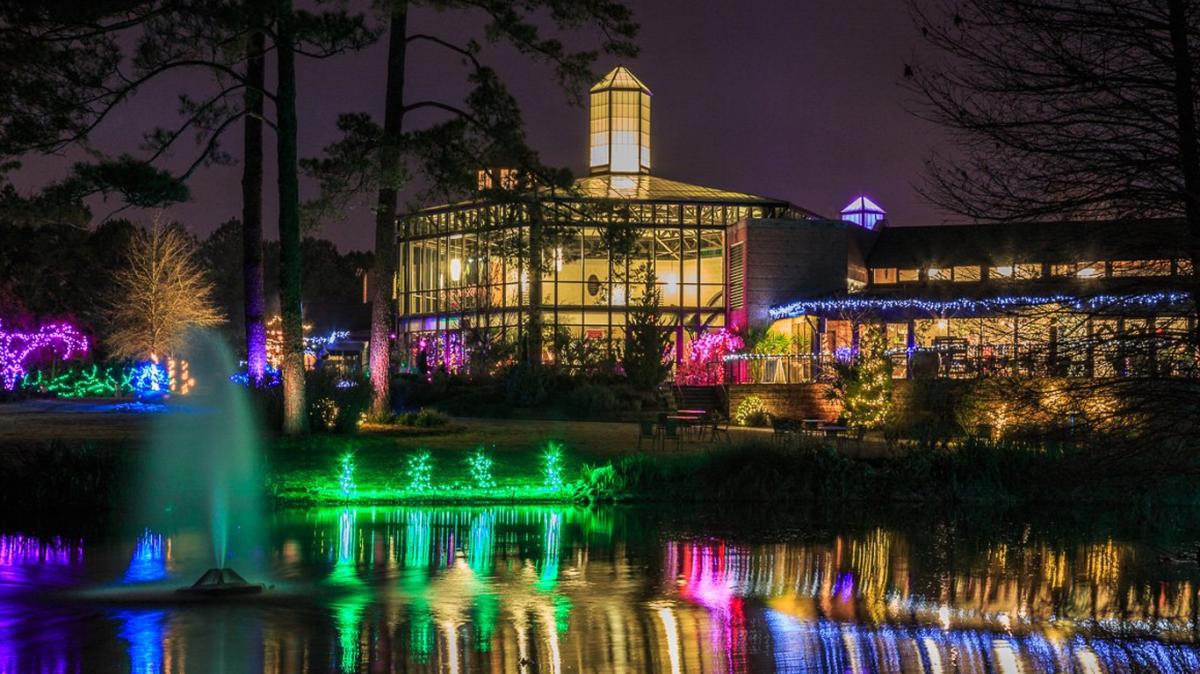 Botanical Garden Christmas Lights