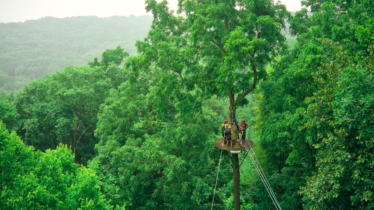 A group of people standing on a tree stand in the middle of the woods, waiting to slide down the zipline.