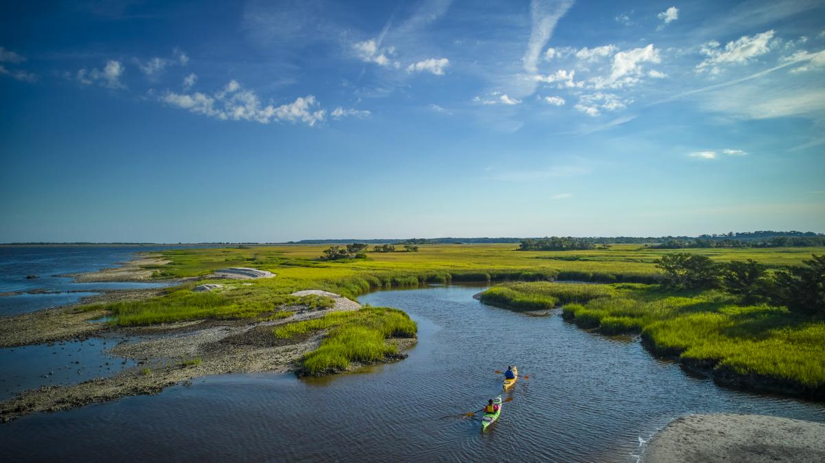 Kayak through the serene marshes surrounding Jekyll Island to see native wildlife and unmatched natural beauty along the Georgia coast.