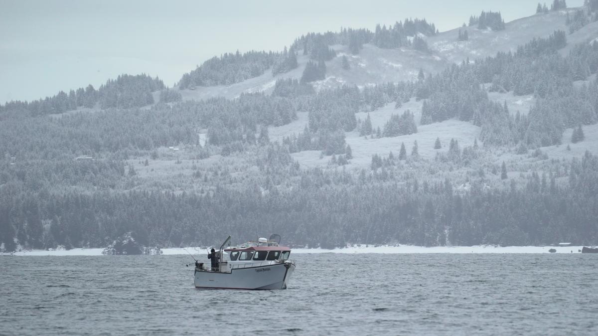 A boat fishing in Kachemak Bay in the winter.