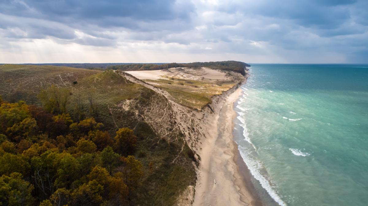 Indiana Dunes Beach from Above