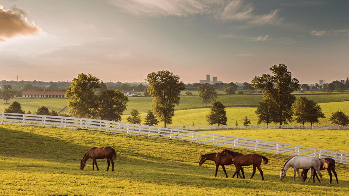 Horse Tours BG FAM