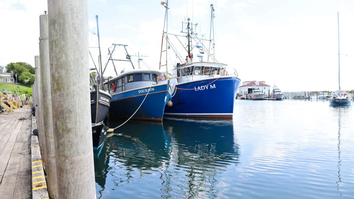 See It All (or Most of It!) with a Sightseeing Tour on Martha’s Vineyard