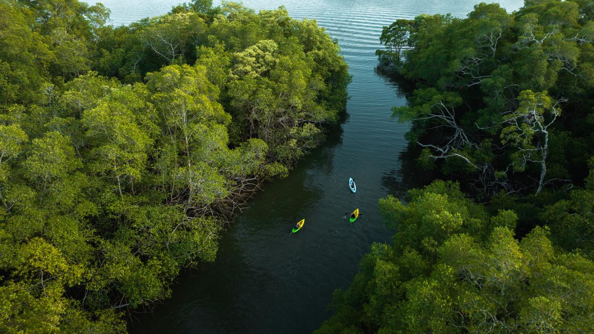 isla-cañas-los-santos-province-panama