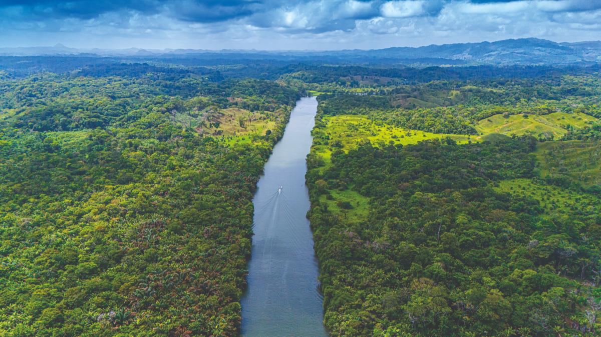 Rio Miguel de la Borda