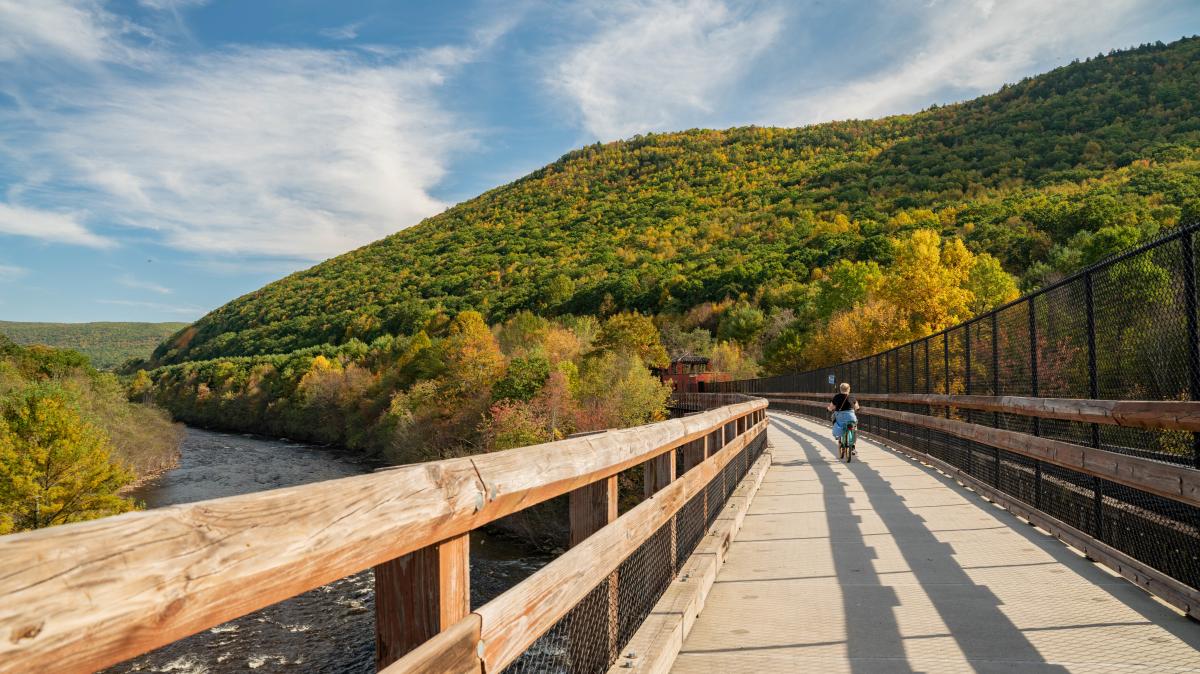 Lehigh Gorge Bridge PTN