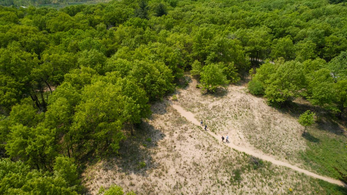 A sandy trail emerges from a woodland. People are hiking toward the trees.