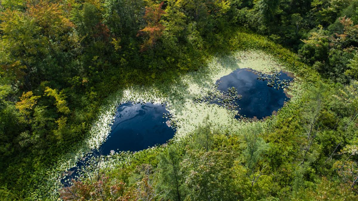 Aerial of Pinhook Bog