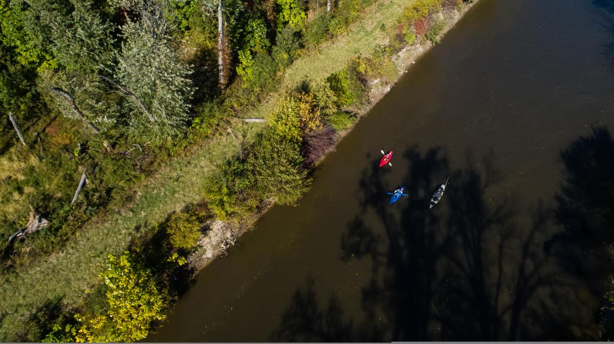 Overhead view of a natural riverbank with three kayakers paddling along the edge of the water. The boats, colored red, blue, and black, contrast against the dark water, while tree shadows create intricate patterns on the river’s surface. The shoreline is lined with dense greenery and patches of grass.