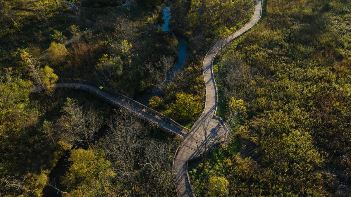 A twisting wooden boardwalk stretches over a wetland, splitting into two directions. The surrounding area is filled with green and autumnal-colored vegetation, with a small reflective stream flowing through. A single person in bright clothing walks along the path.