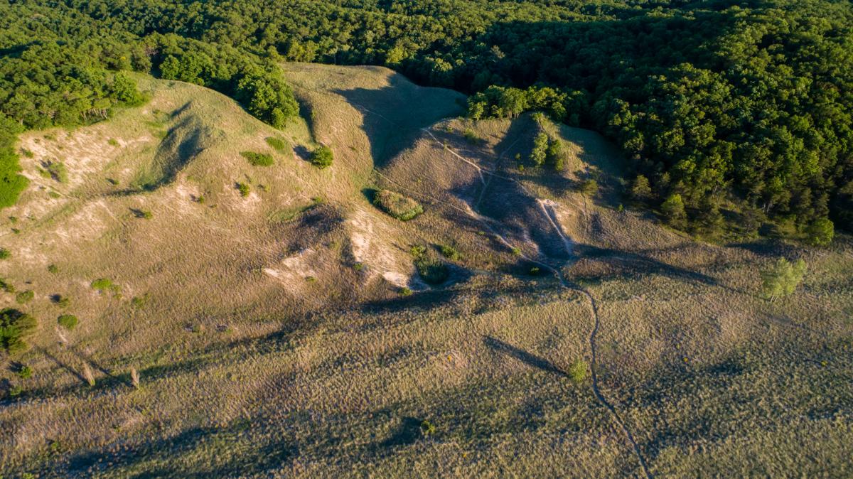 An aerial view of Cowles Bog trail