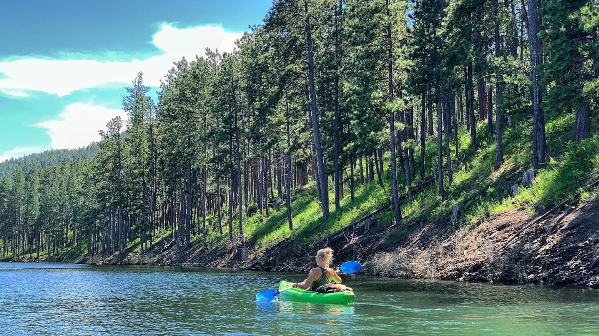 A woman kayaks near the edge of lake in the Black Hills as ponderosa pines tower to the sky on a hillside offshore.