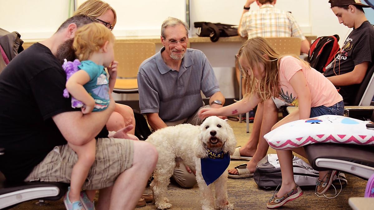 Caring Tails Pet Therapy Program at Rochester MN International Airport