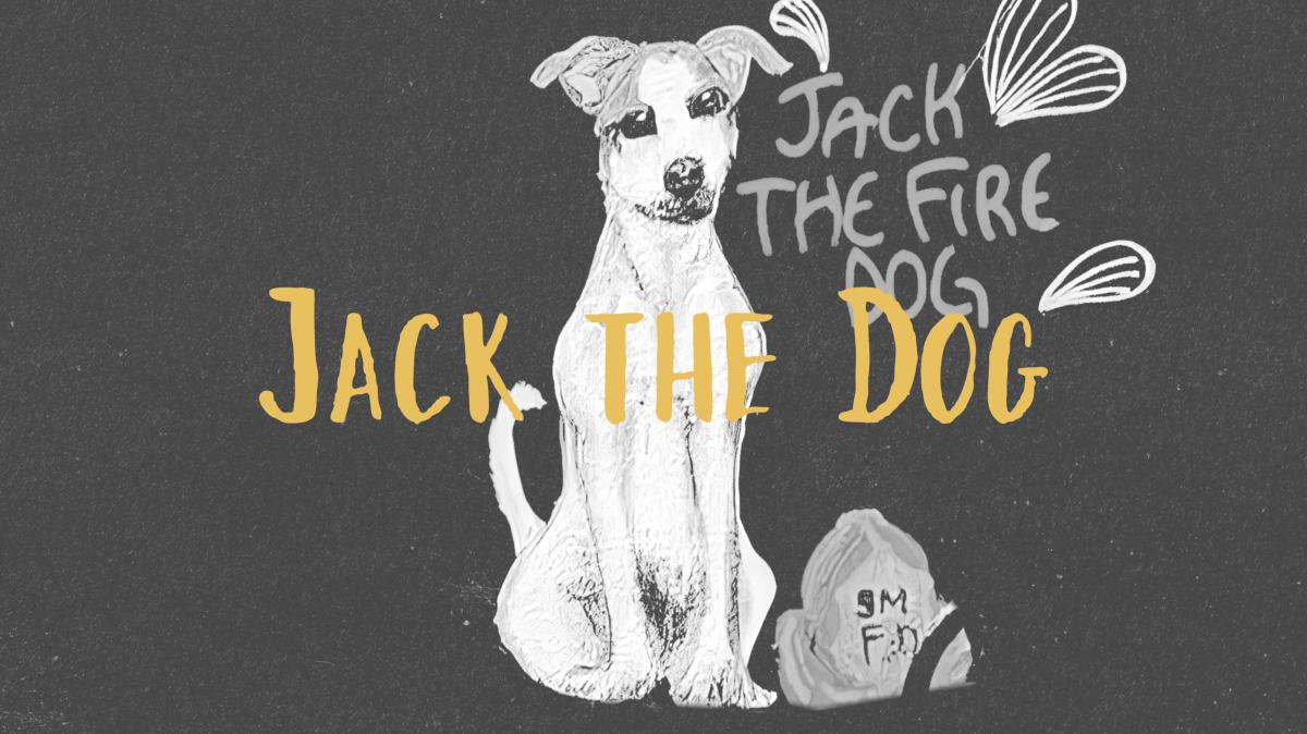 Jack The Dog