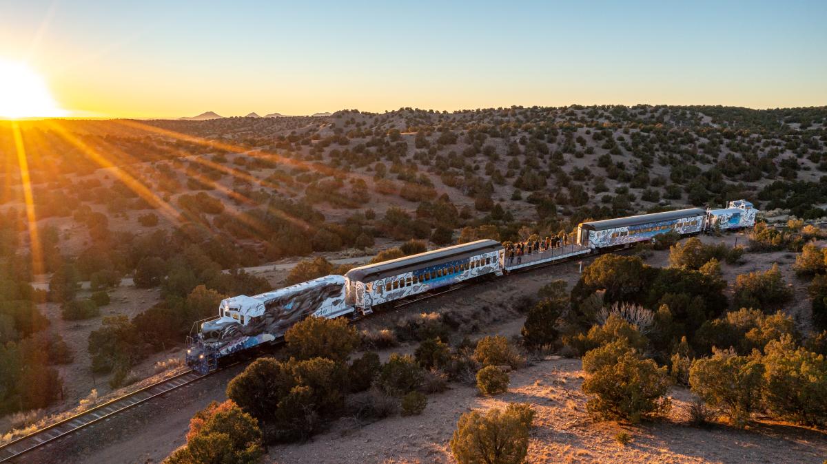 Skyrail Train