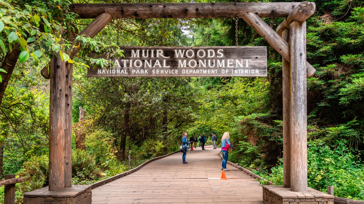 A sign indicates the entrance to Muir Woods National Monument.