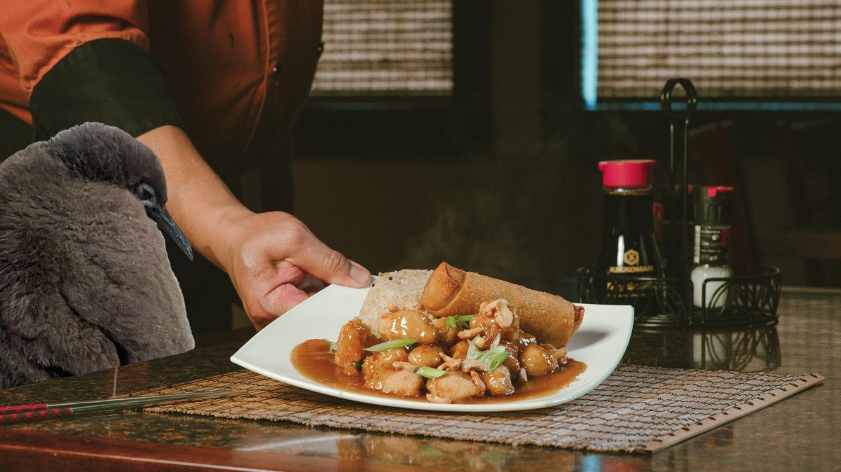 Pesto the Penguin Leong's Cashew Chicken
