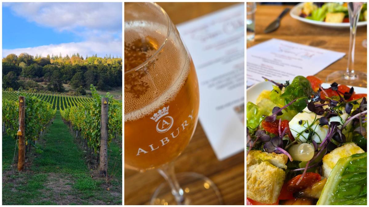 Albury Supper Club with Chef Renu B at Albury Organic Vineyard near Guildford, Surrey