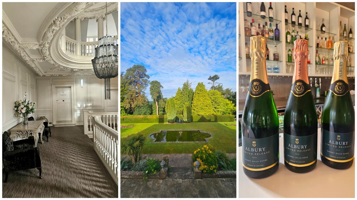 Barnett Hill Hotel near Guildford, Surrey - Visit Surrey review - photos Matthew Williams