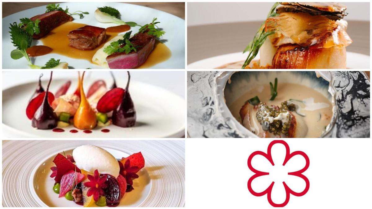 Celebrating Surrey’s Michelin star restaurants – eating out inspiration