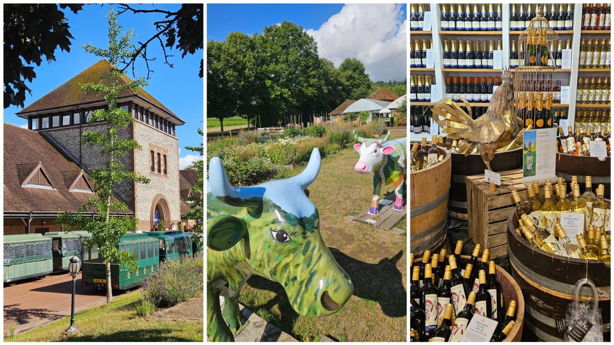 Denbies Wine Estate in Dorking, Surrey