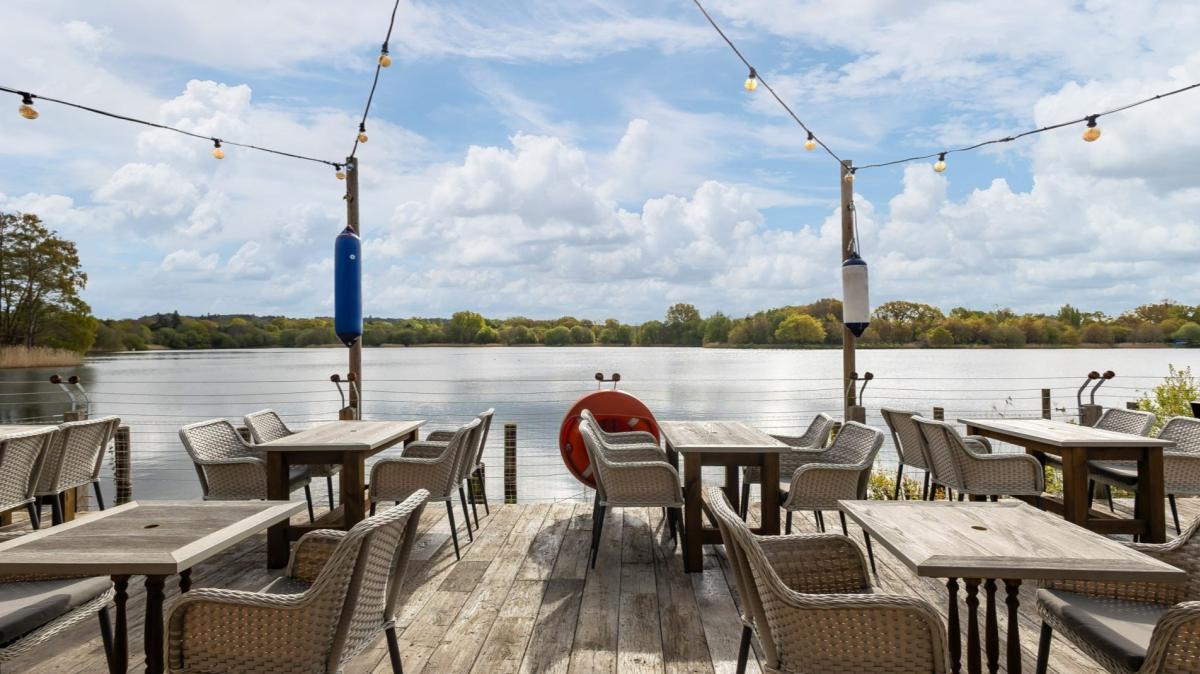 Kingfisher on the Quay in Mytchett