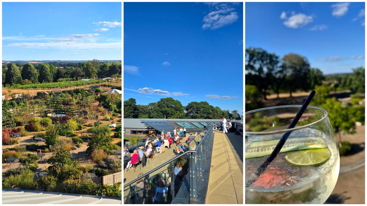 RHS Wisley Dining Club starts with drinks overlooking the World Food Garden