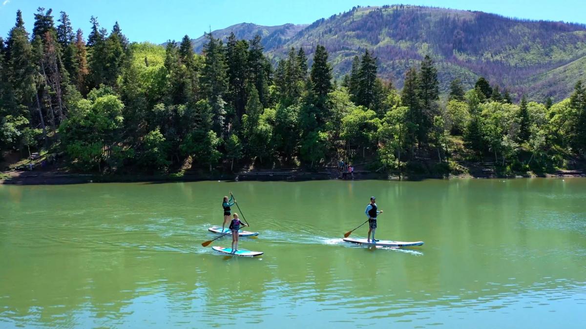three paddleboarders on maple lake