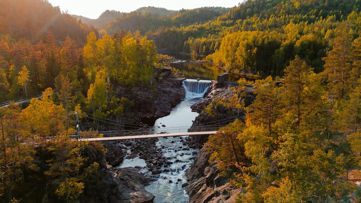 Dronebilde av Tømmerrenna i Vennesla. Høstfarger på trærne