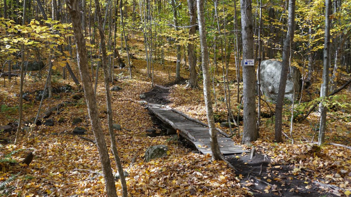 Gurney Lane Mountain Biking