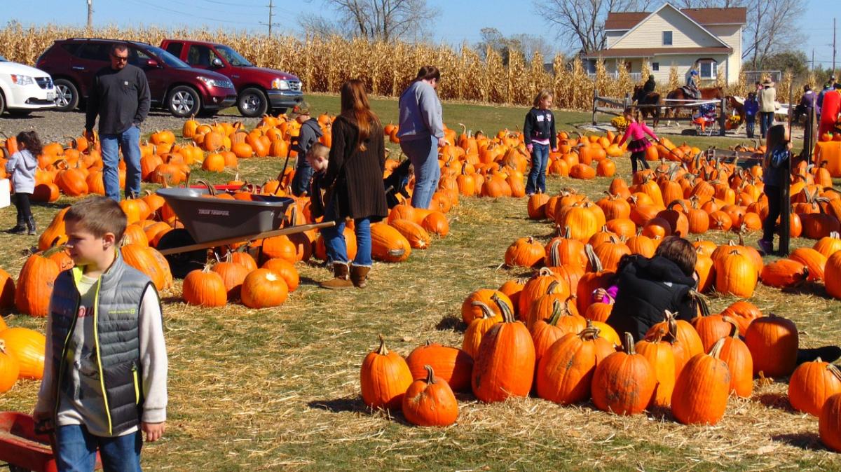 Pumpkin Patches in Wichita