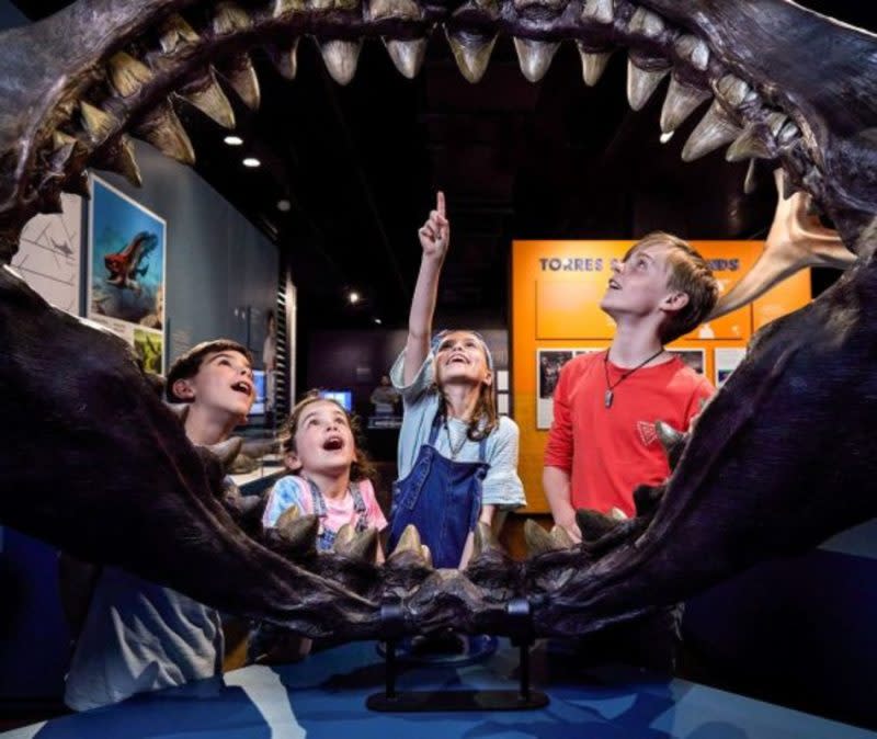 Kids looks through the skeletal jaws of a great white shark at an exhibit