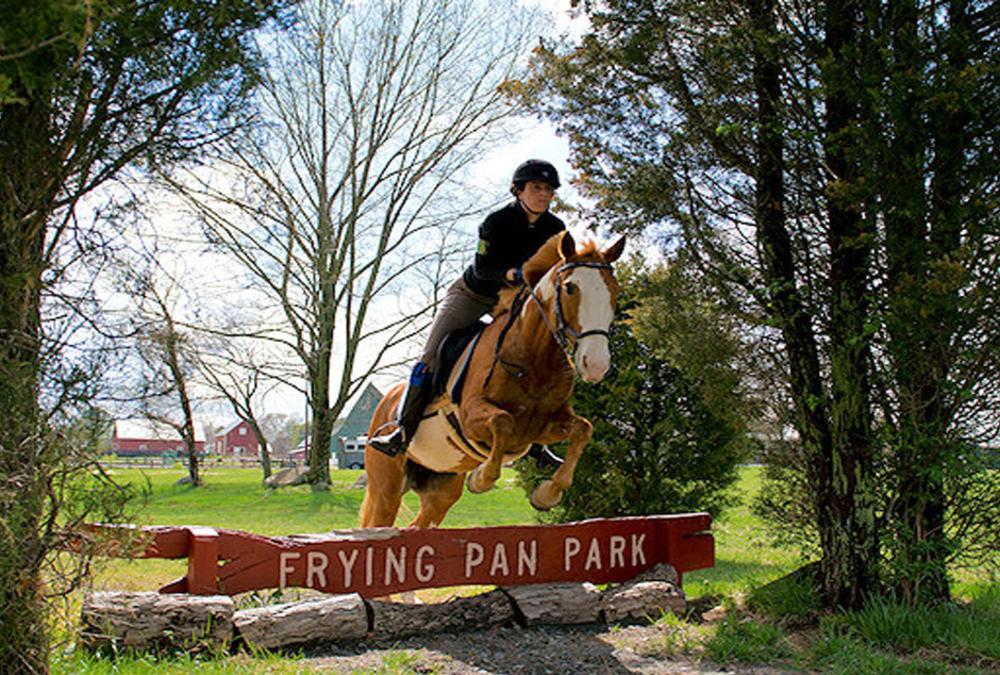 Horseback Riding