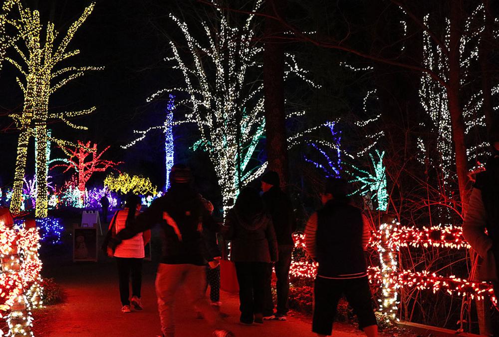 Meadowlark Winter Walk of Lights - Meadowlark Botanical Gardens