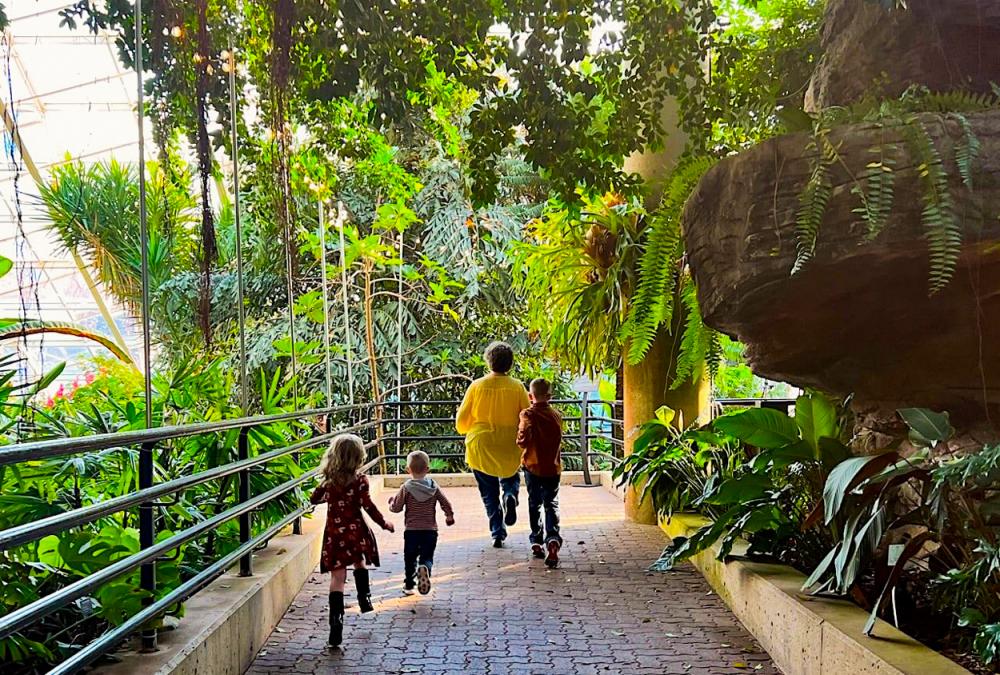 Family walking through the tropical showcase at the Botanical Conservatory