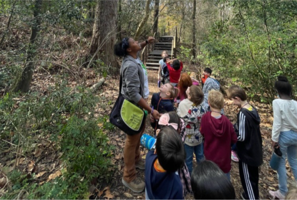 Houston Arboretum