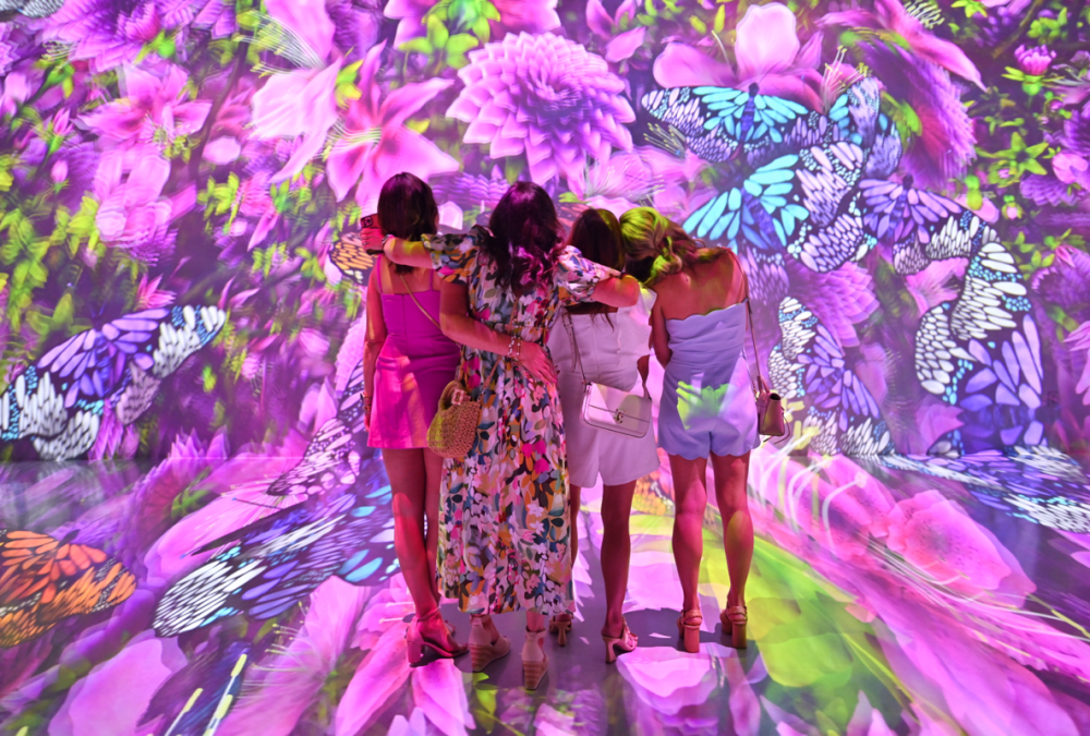 ARTECHOUSE